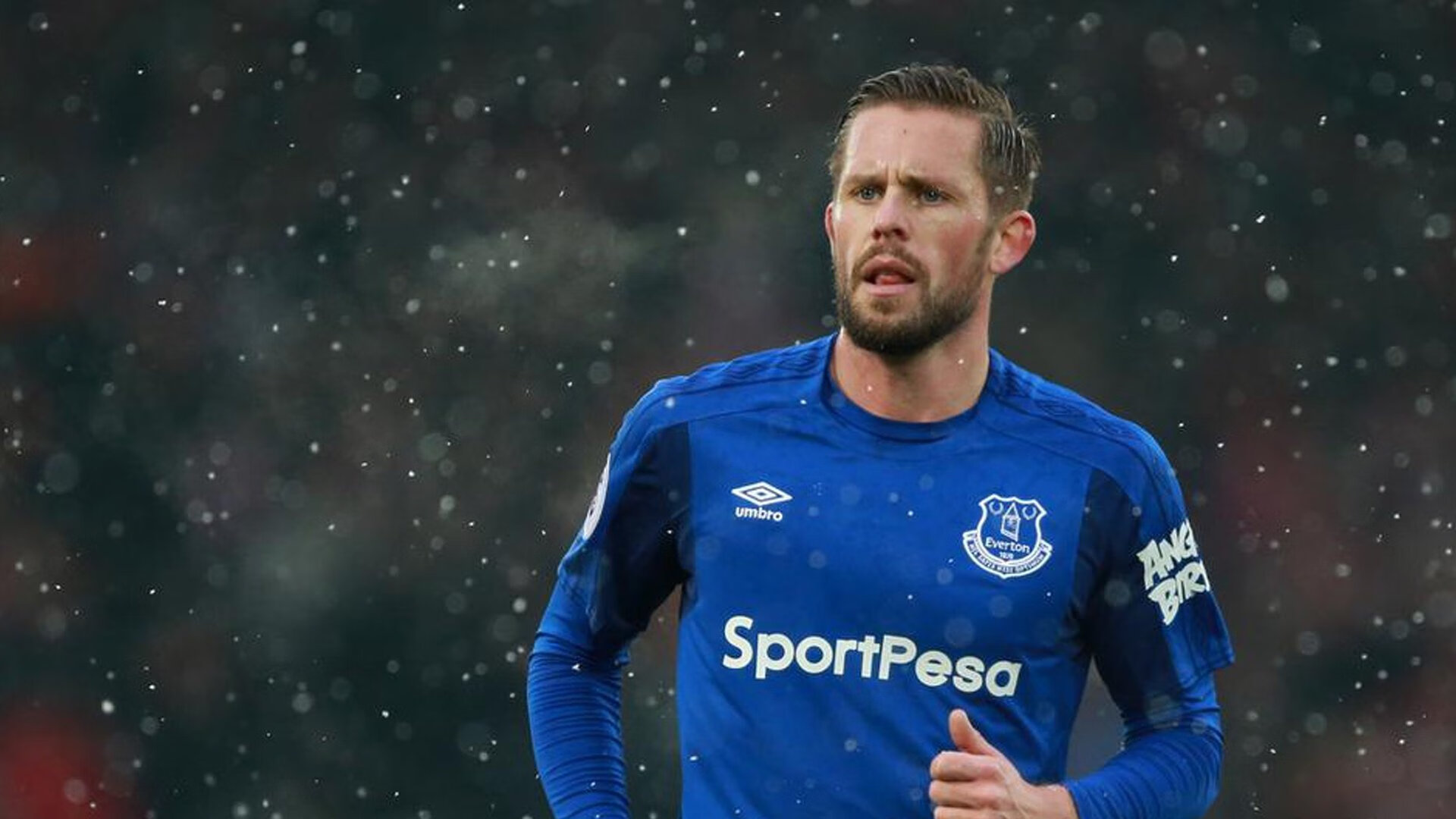 仰泳技术扎实波兰持续领先,仰泳示范视频